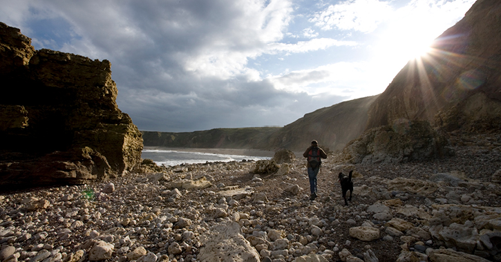 person walking on beach with their dog on Durham Heritage Coast